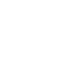 xAI