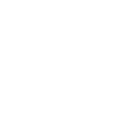 xAI logo